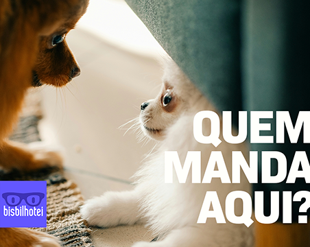 Quem manda aqui?¹